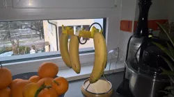Banana Stand for Single Bananas / Einzel-Bananenhalter