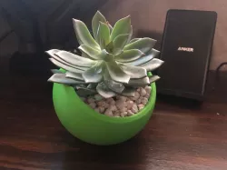 Desk Planter