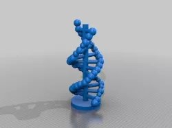 DNA Model