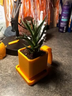 Dorm Room Planter