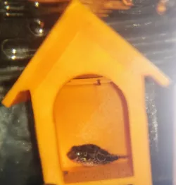 Fish / Shrimp / Snail House