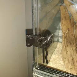 Hinge Glass Door Lock Latch for terrarium vivarium (for Bad Cat)