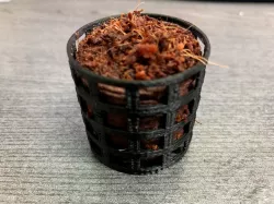 Hydroponic Germinating and Cloning Pot (e.g. Rooter Plugs) square holes