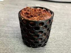 Hydroponic Germinating and Cloning Pot (e.g. Rooter Plugs)