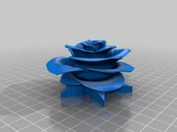 Lily - rose