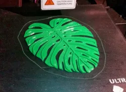 Monstera Deliciosa drink coaster
