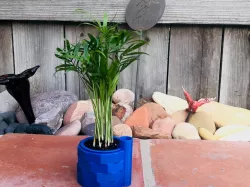 self watering planter 