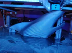Shark Attack