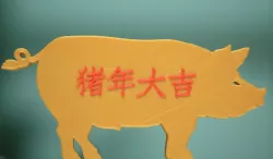 Chinese Spring Festival - Pig 2019