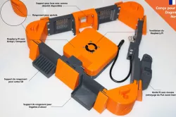Dagoma Neva PowerBelt
