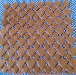 dragon scales