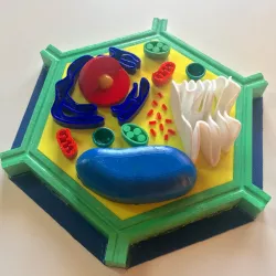 Plant Cell