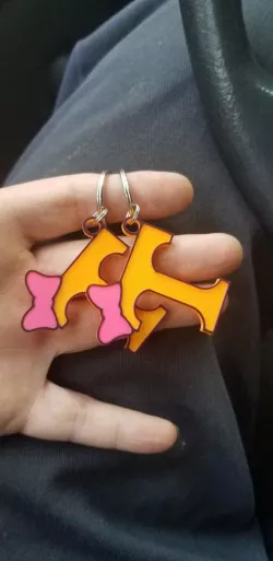 TN Keychain