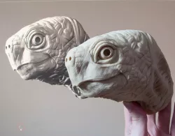 Turtle Head