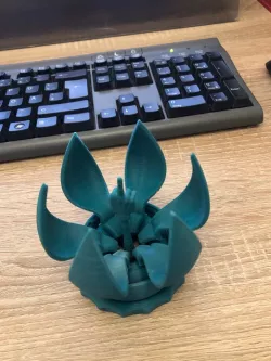 Blooming Flower Gift Box Middle Finger