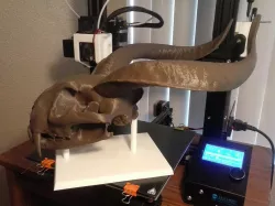 Demon Cougar