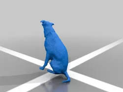 Dog 3D Scan