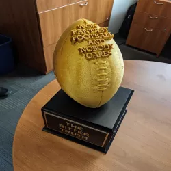 Fantasy Football - The Bitter Truth