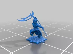 Male Elf Assassin