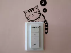 Philips Hue Dimmer Switch euro adapter