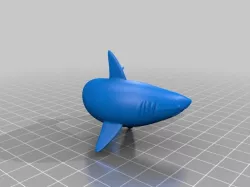 Shark