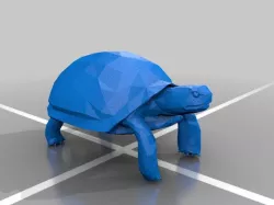 Tortoise