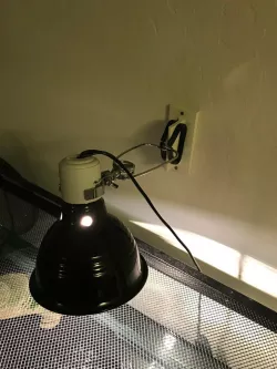 Aquarium Light Mount