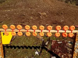 Clay Pigeon Target Clips For 2x2 Wood Stud