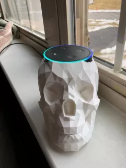 Echo Dot Skull Holder with sound escape