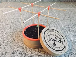 Gift Idea - Mini Garden - For Different Plants - green deko