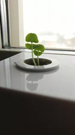 GROW! Hydroponic system