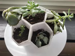 Honey Comb Planter
