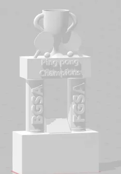 Ping Pong Tournament Trophy