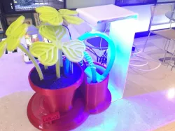 Potted with tank - for pump