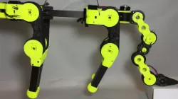 Robot Quadruped Tail
