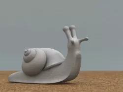 snail
