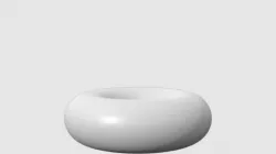 Torus