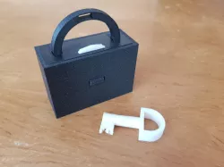 Tricklock puzzle