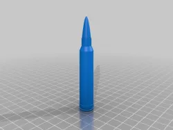 300 Winchester Magnum