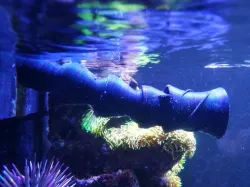 Aquarium Flow 