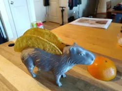 Capybara Taco holder