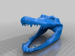croc 3d