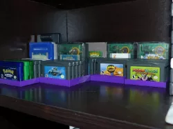GameBoy Game Shelf