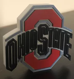 Glow in the Dark Ohio State Logo