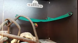 Screw replacement for suction cup