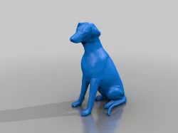 Sitting Natural Doberman - Female