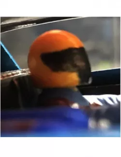 Slot car helmet for interior or driver bust, figure
