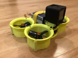 The Platypus (cinewhoop)