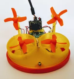 Tiny Transformer: Tiny Whoov 