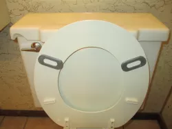 Toilet Seat Fix